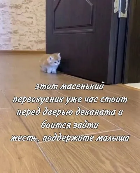 Малыш боится зайти в деканат