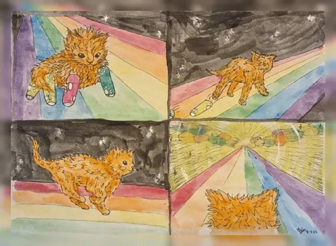 Кот бежит по радуге