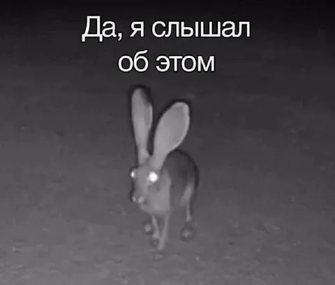 Да, я слышал об этом