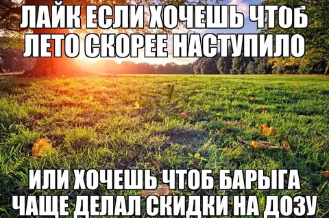 Лайк если хочешь лето