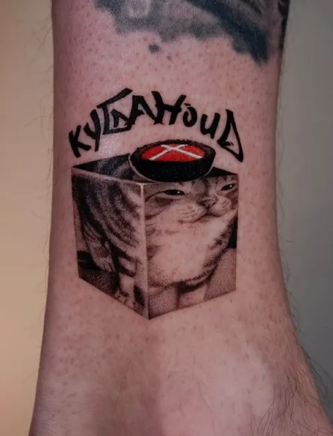 Кот в коробке с суши