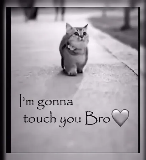 I'm Gonna Touch You Bro