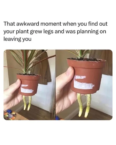 Plant Planning to Leave