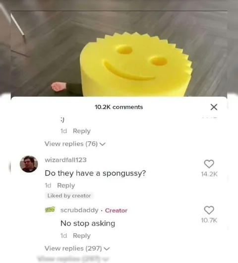Do They Have a Spongussy?