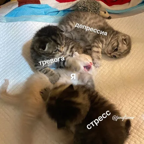 Я между тревогой и стрессом