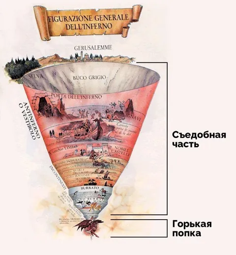 Съедобная часть и горькая попка