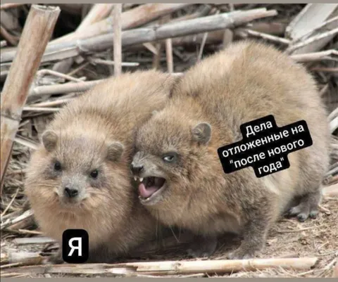 Дела после Нового года