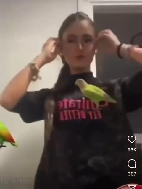 Girl Turns Into a Holy Parrot