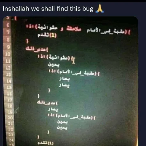 Inshallah We Shall Find This Bug