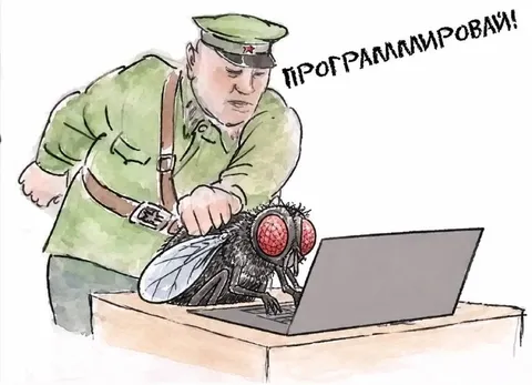 Солдат программирует муху