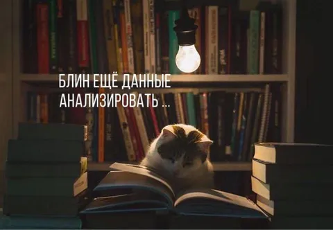 Коту ещё данные анализировать