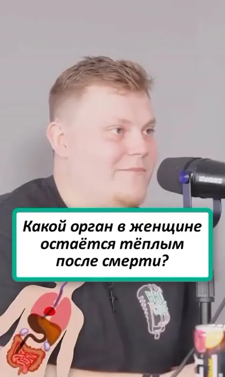 Какой орган остаётся тёплым