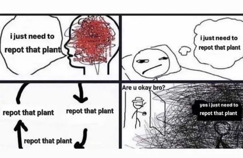 I Just Need to Repot That Plant