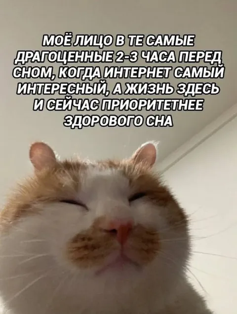 Лицо перед сном