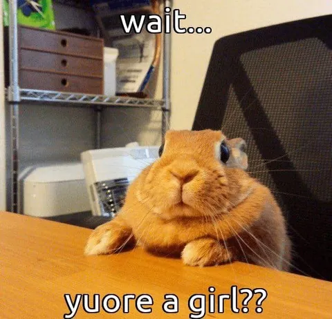 Wait, You’re a Girl??