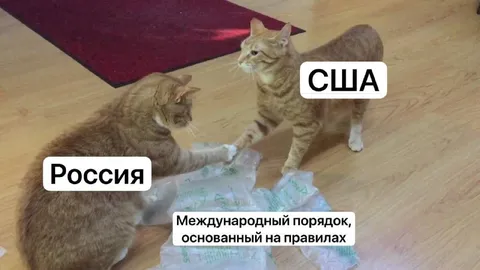 Россия и США делят порядок