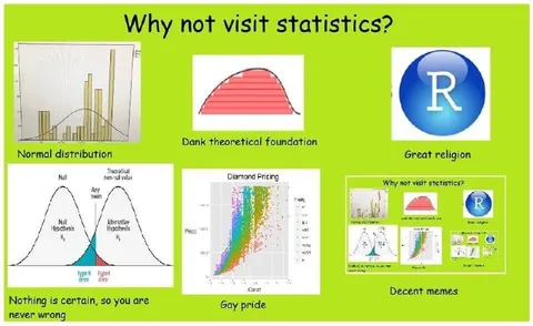 Why Not Visit Statistics?