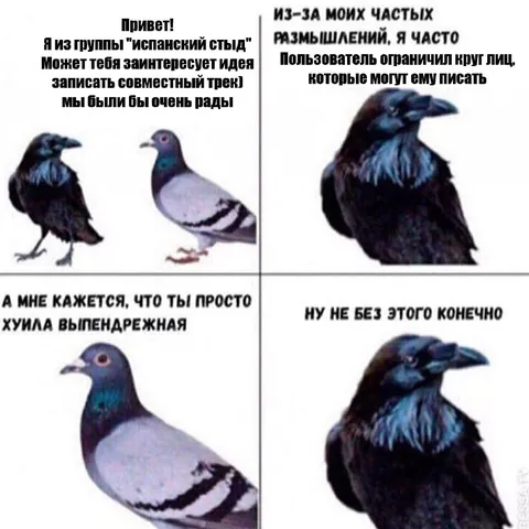 Ворона ограничила круг общения