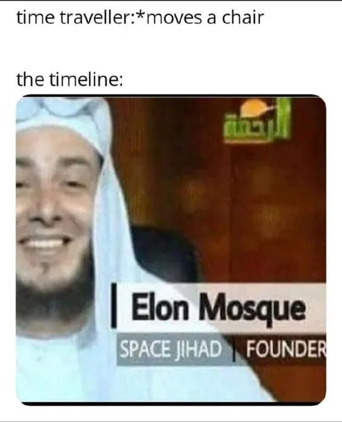 Time Traveler Changes Elon Musk