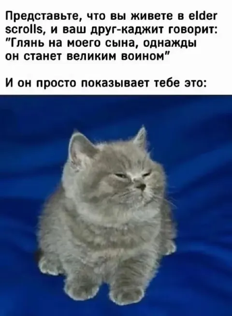 Каджит показывает великого воина