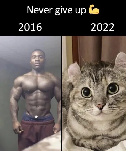 Never Give Up Transformation