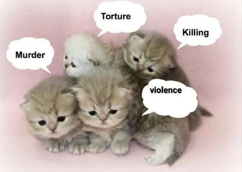 Kittens Discuss Violence