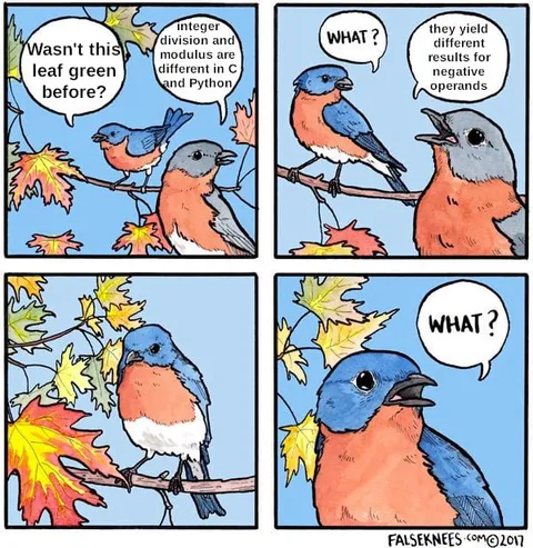 Birds Argue About Integer Division