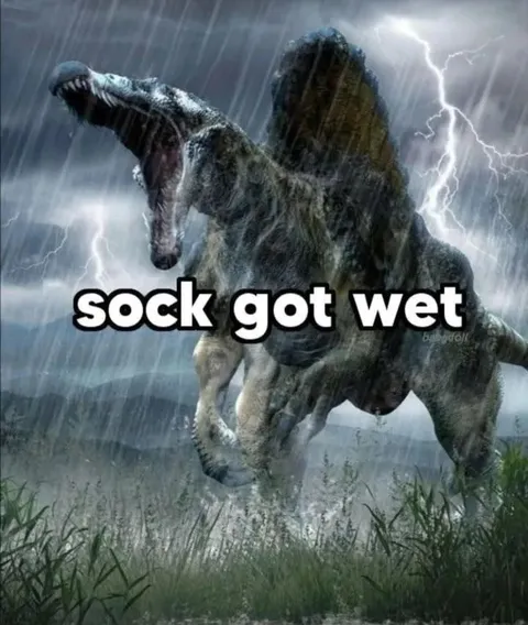 Sock Got Wet Dinosaur