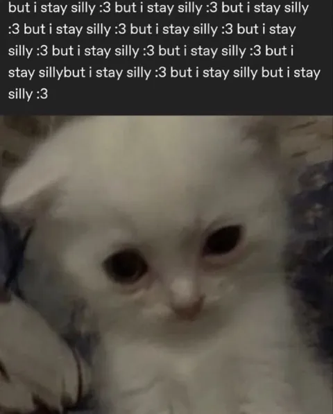 But I Stay Silly Cat