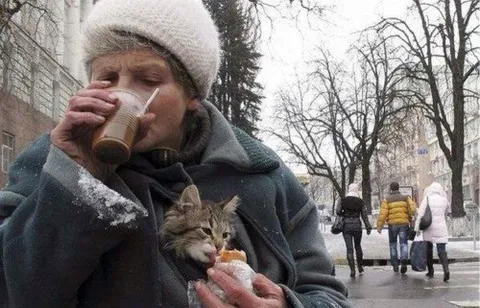 Забота о коте в любую погоду