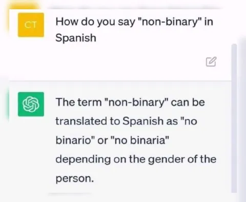 ChatGPT Misunderstands Non-Binary