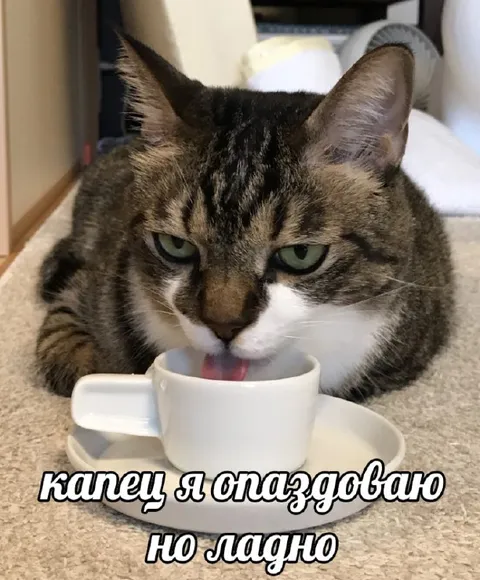 Капец я опаздываю но ладно