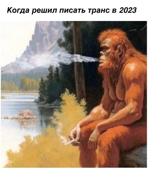 Когда решил писать транс в 2023