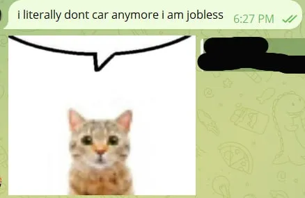 Jobless Cat Reaction