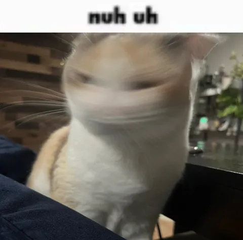 Nuh Uh Cat