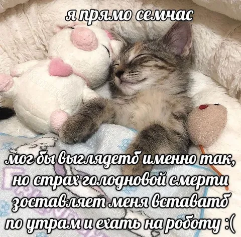 Страх голодной смерти