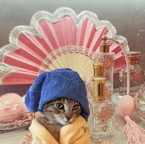 Кот на туалетном столике