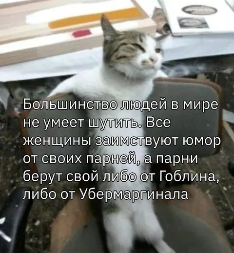 Шутки от Гоблина и Убермаргинала