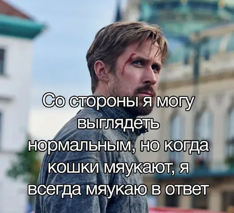 Мяукаю в ответ кошкам