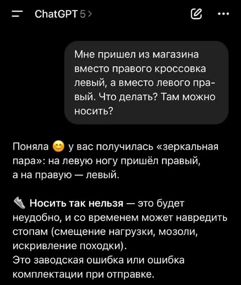 Зеркальная пара кроссовок