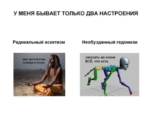 Два настроения: аскетизм и гедонизм