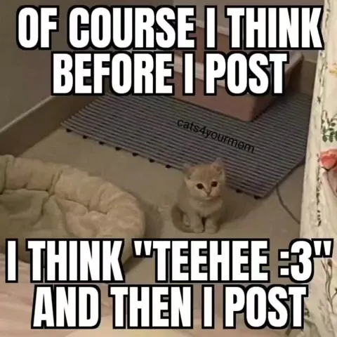 I Think Before I Post