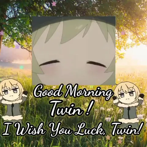 Good Morning Twin Tears