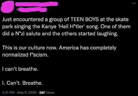 Skate Park Fascism Normalization