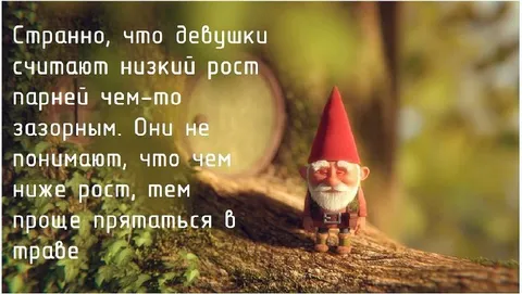 Чем ниже рост, тем проще прятаться