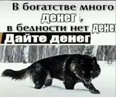 Дайте денег в бедности