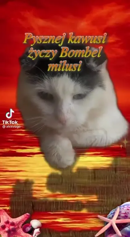 Bombel życzy pysznej kawusi