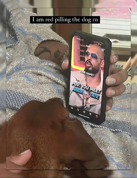 Red Pilling the Dog