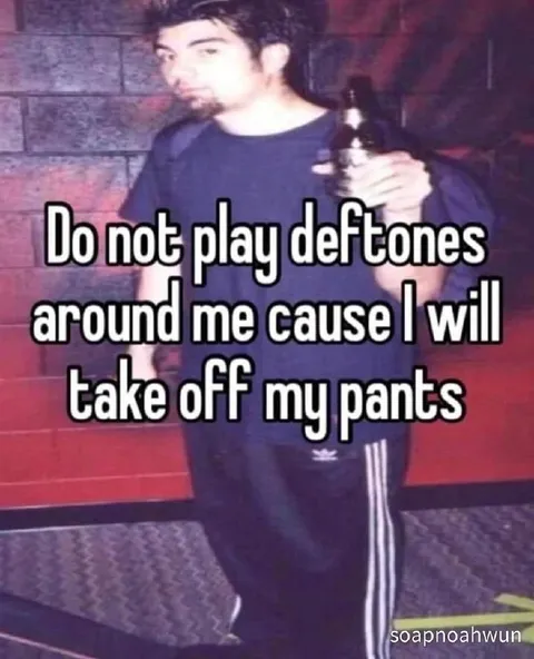 Do Not Play Deftones Around Me