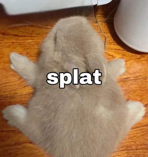 Fluffy Cat Goes Splat